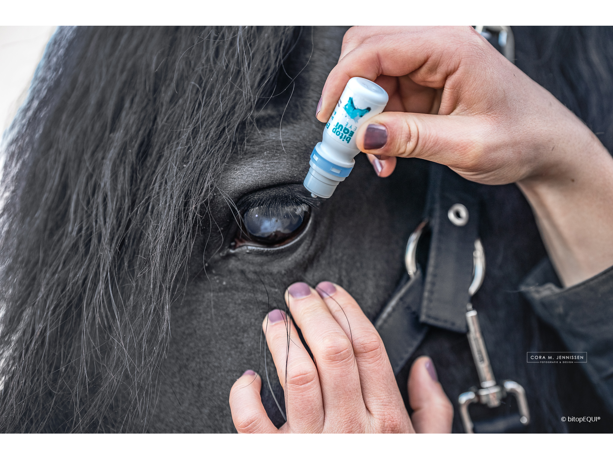 Gouttes pour les yeux bitopEQUI®