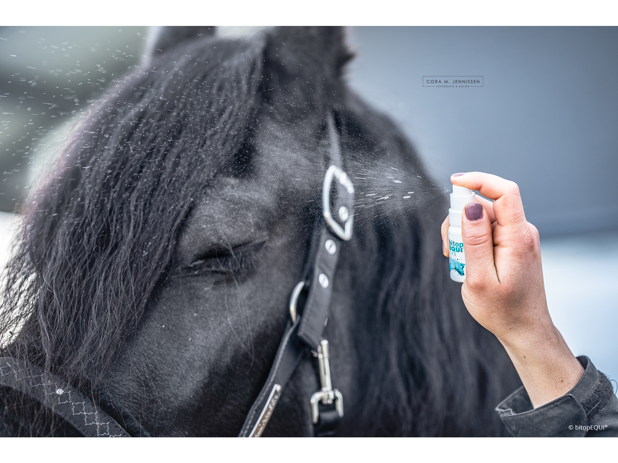 Spray pour les YEUX bitopEQUI®