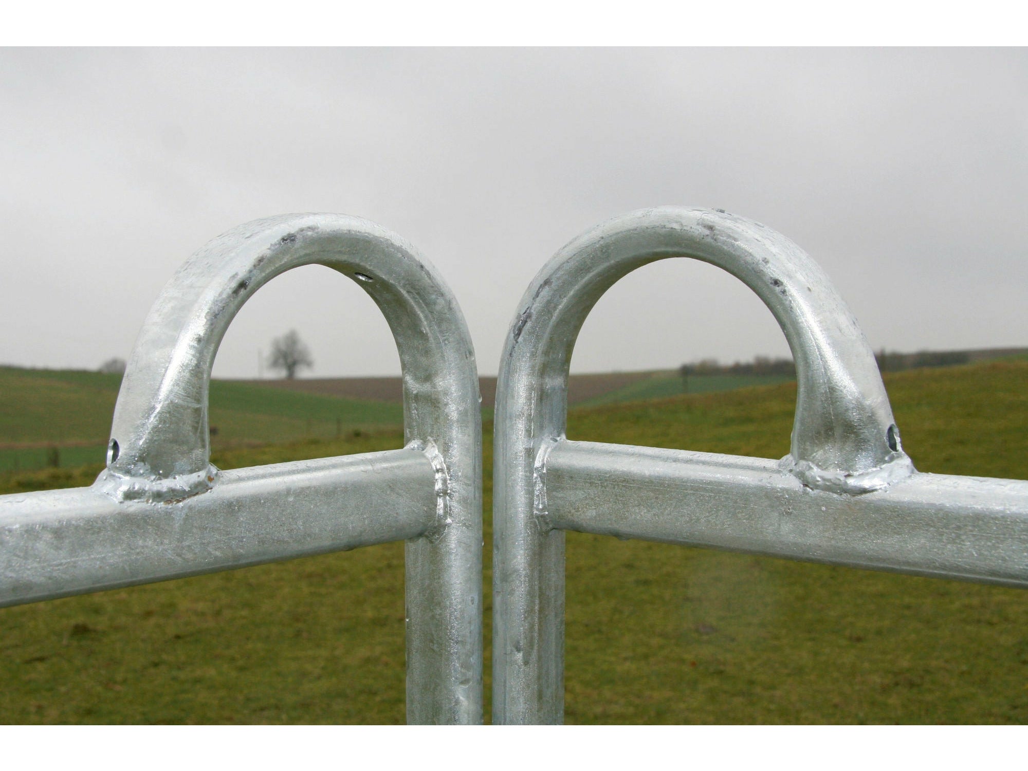 Panneau de pâturage KERBL