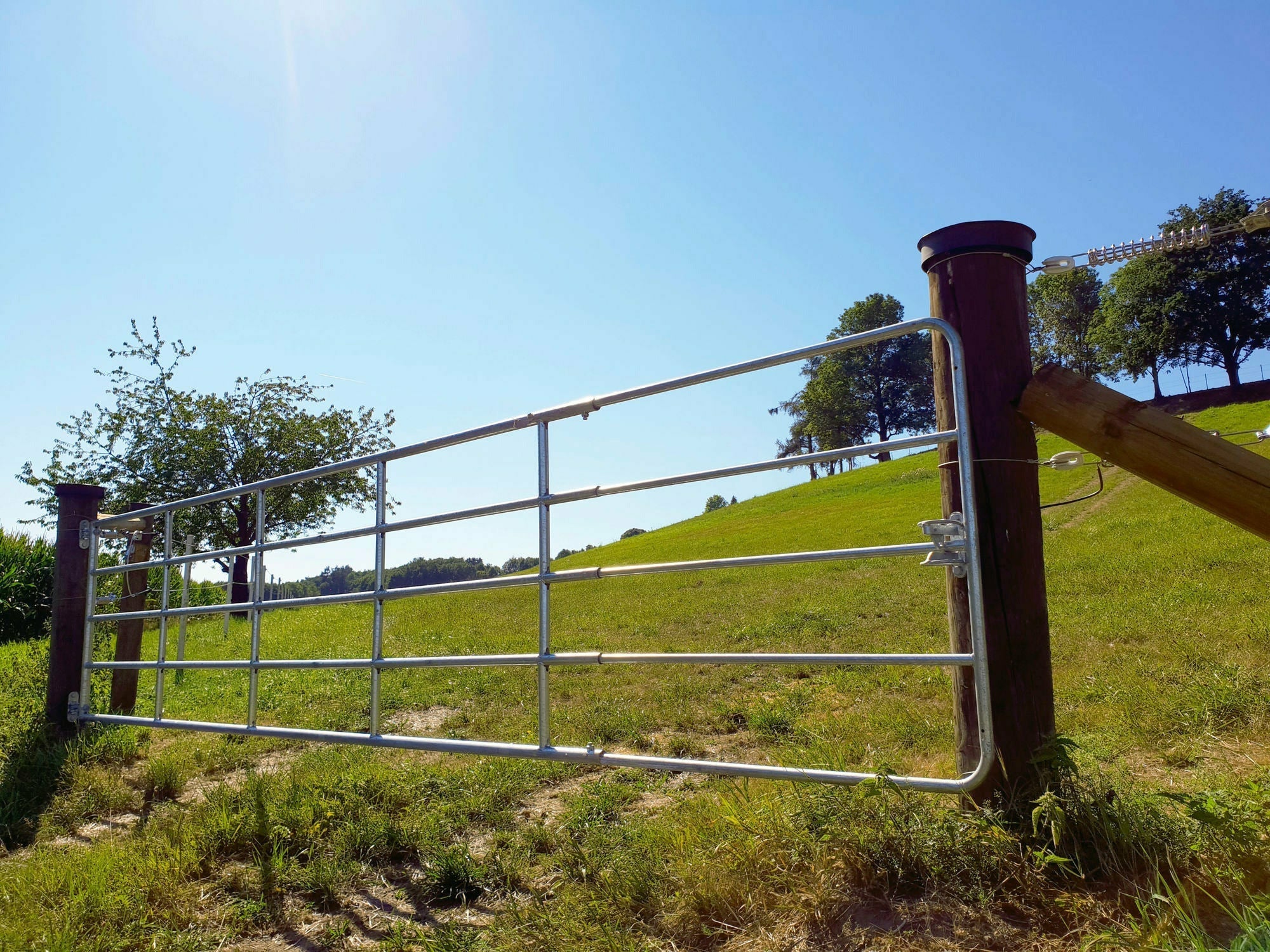 KERBL Weidetor verstellbar