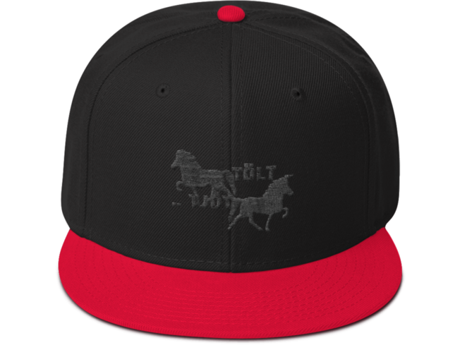 Icelandic Horse Islandpferde Snapback Cap