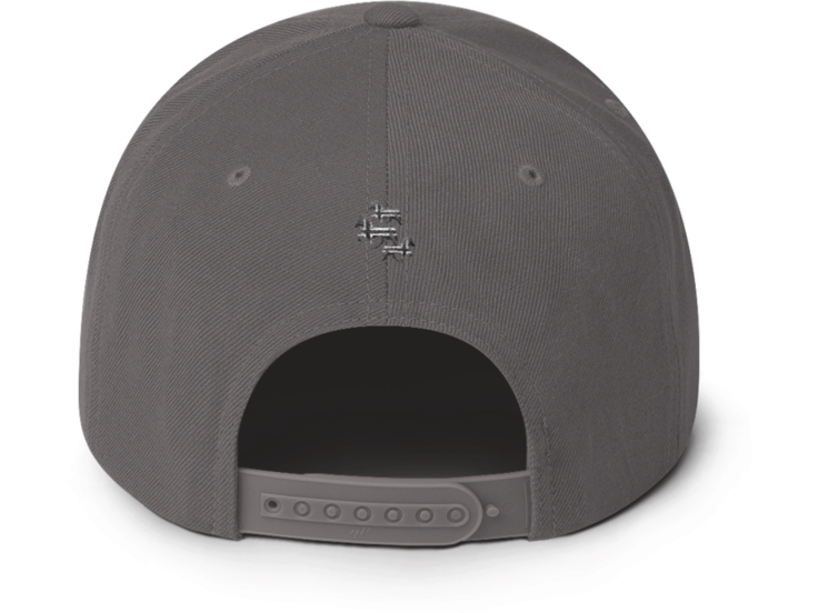 Icelandic Horse Icelandic Horses Snapback Cap