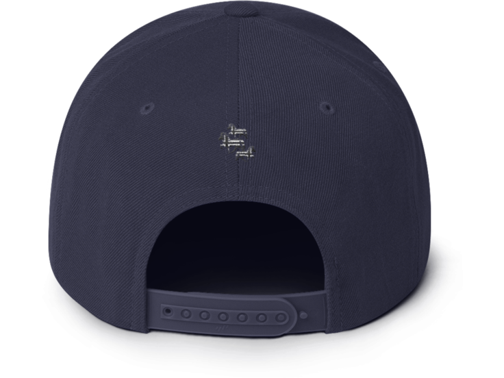 Icelandic Horse Icelandic Horses Snapback Cap