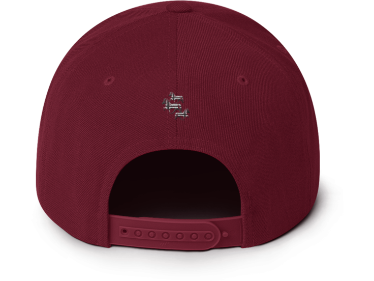 Icelandic Horse Icelandic Horses Snapback Cap