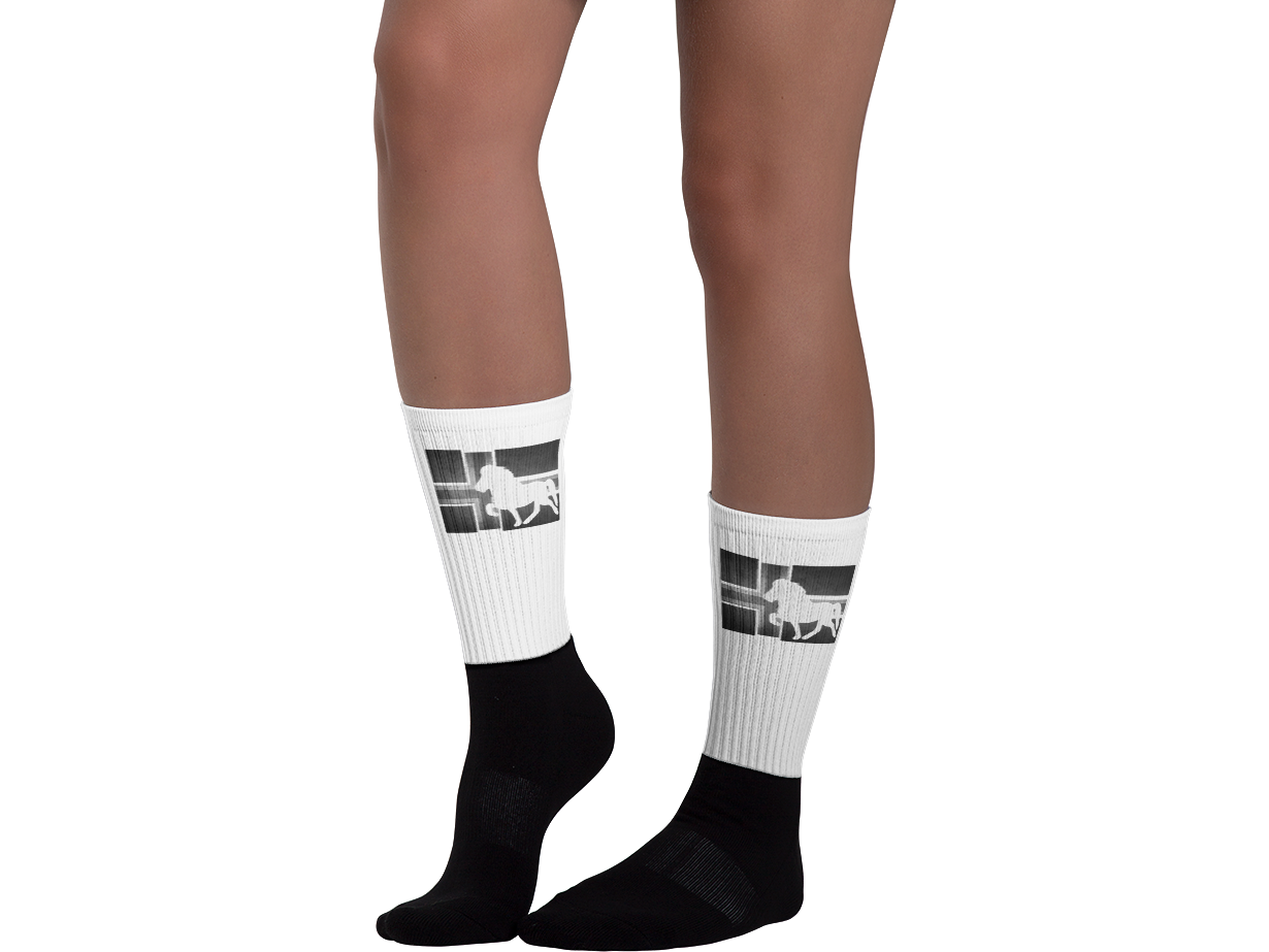 Icelandic Horse Islandpferde Socken Strümpfe