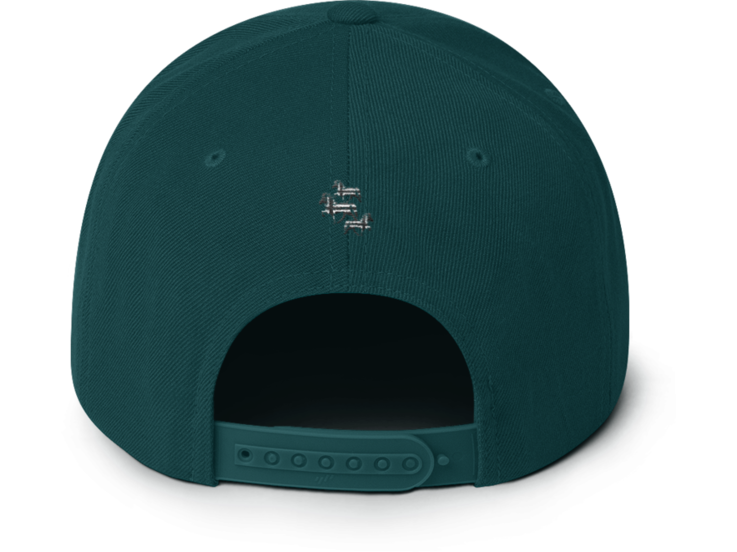 Icelandic Horse Icelandic Horses Snapback Cap