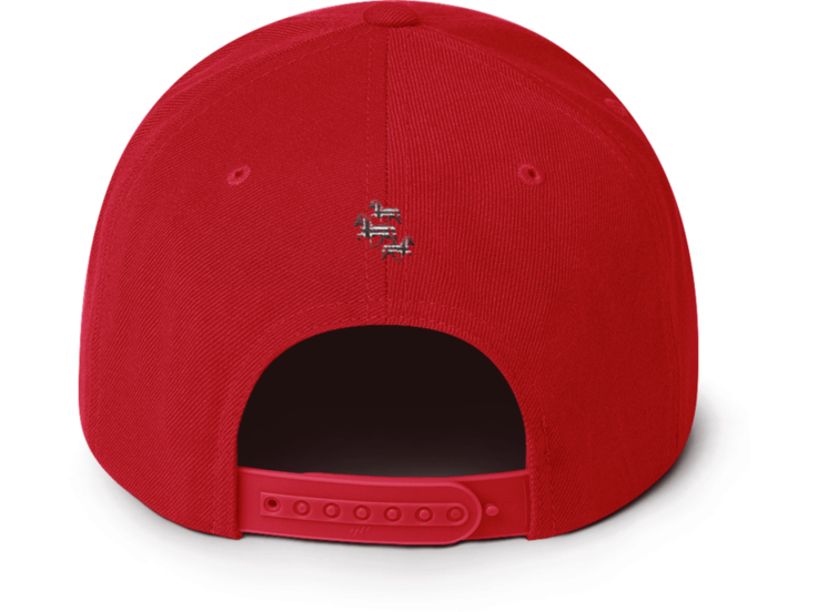 Icelandic Horse Icelandic Horses Snapback Cap