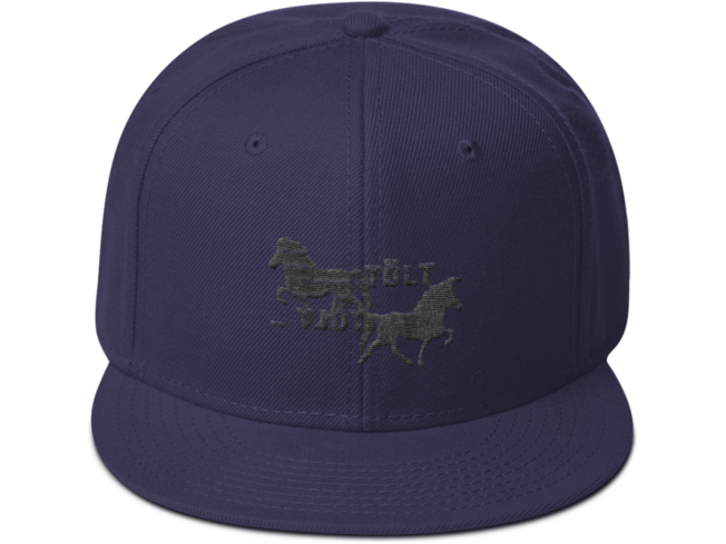 Icelandic Horse Islandpferde Snapback Cap