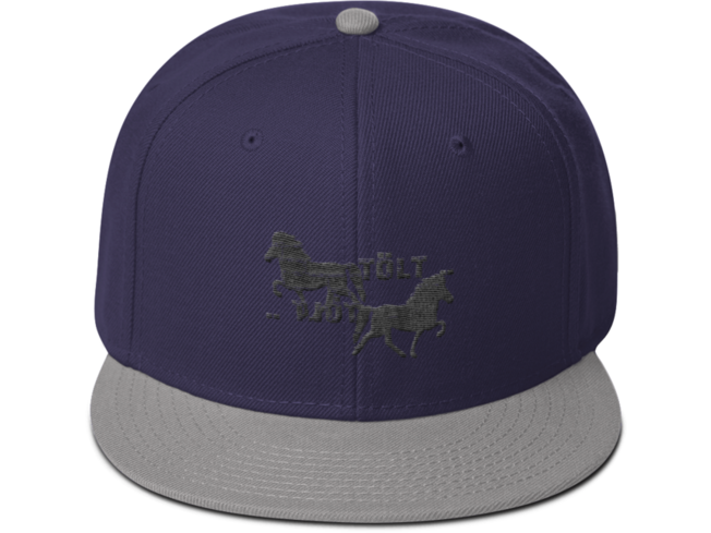 Icelandic Horse Islandpferde Snapback Cap