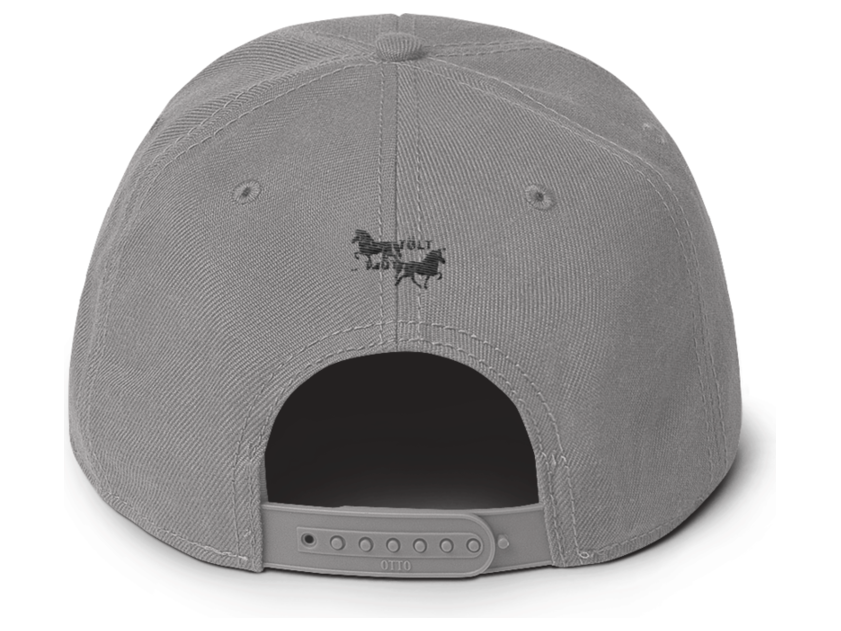 Icelandic Horse Islandpferde Snapback Cap
