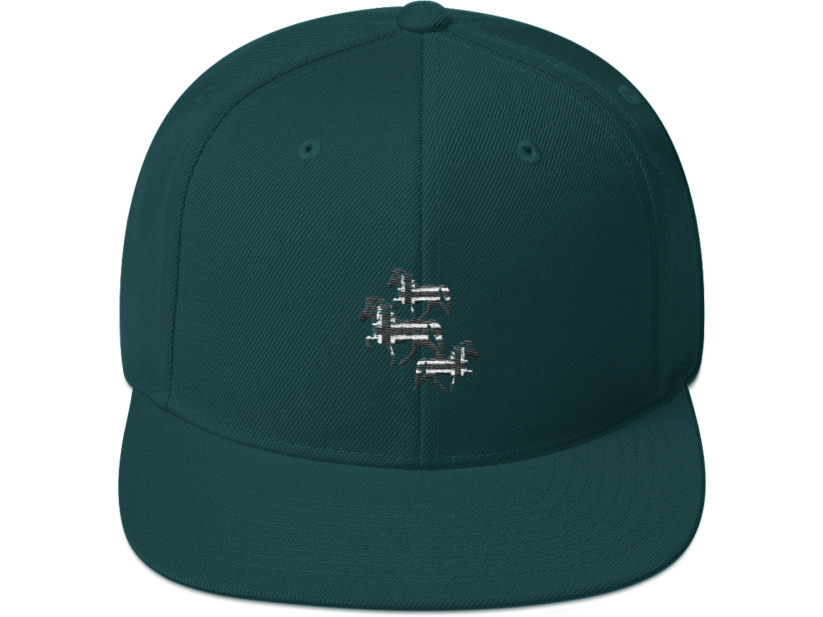 Icelandic Horse Icelandic Horses Snapback Cap