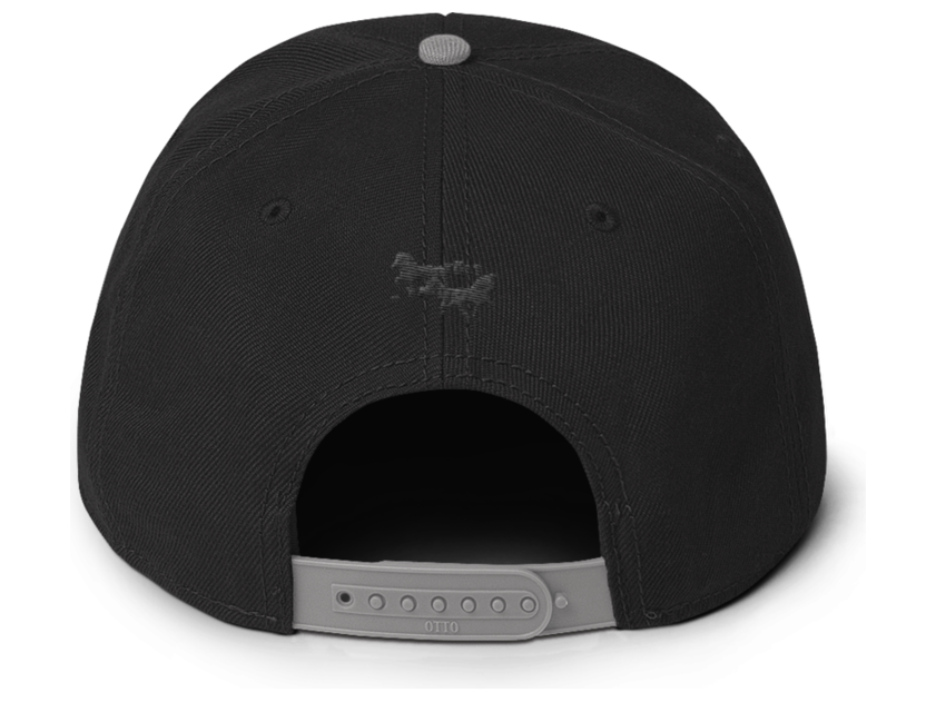 Icelandic Horse Islandpferde Snapback Cap