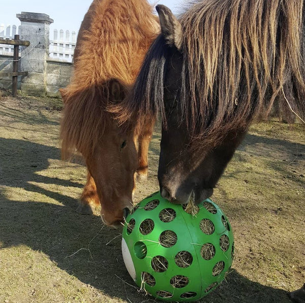 Heuball - Futterball für Isländer und alle anderen Pferdearten 🐎⚽️ Der Futterball ermöglicht eine artgerechte Fütterung durch 👉Forwährende Bewegung während der Futteraufnahme