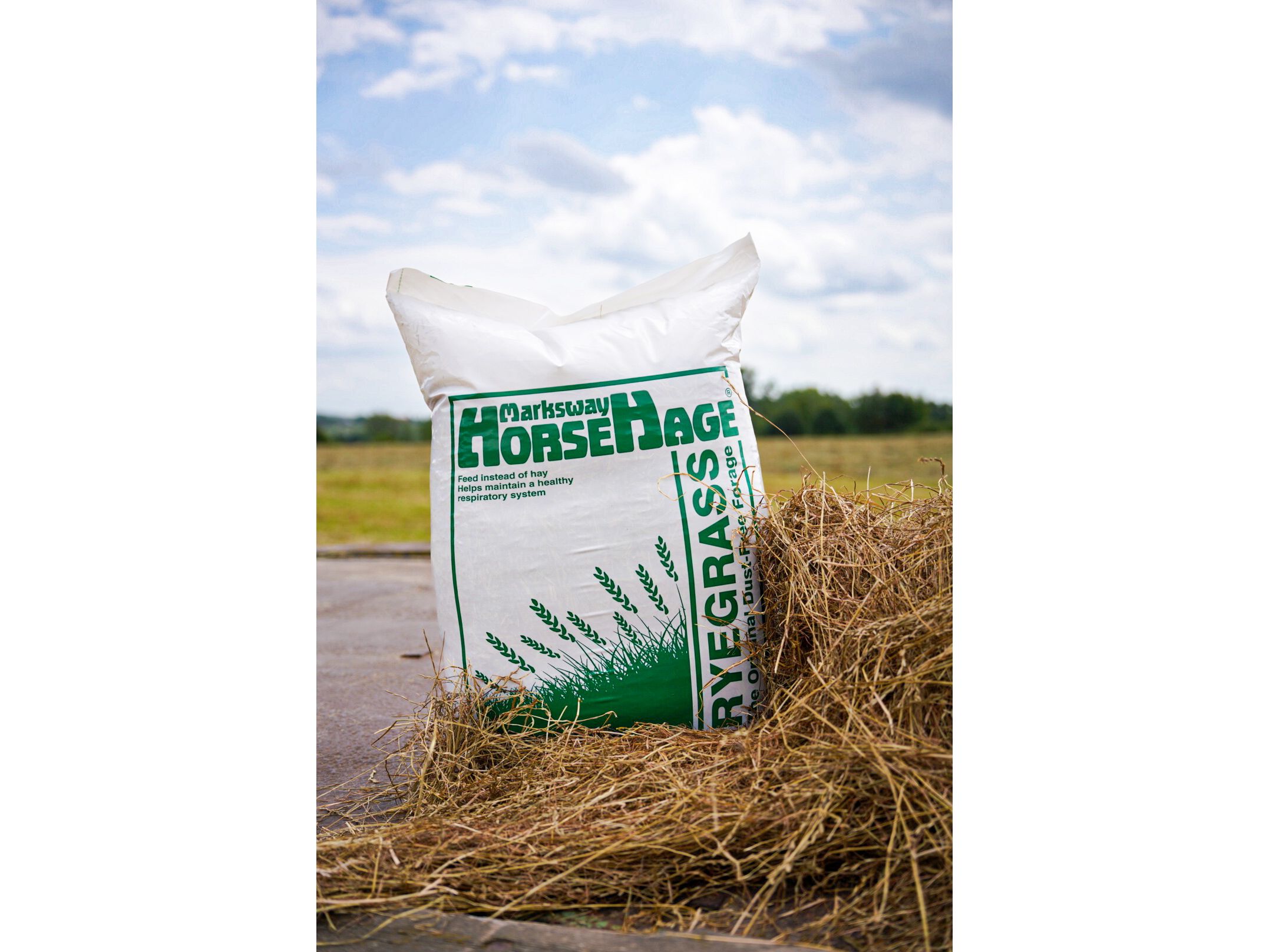 HorseHage RYEGRAS grün