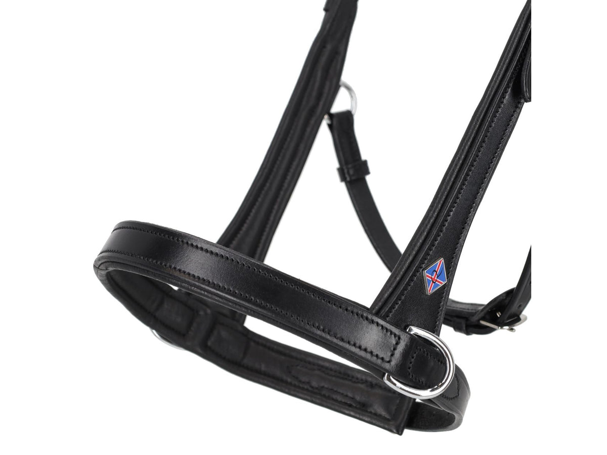 QHP Fjara Icelandic – Nasenriemen, Sidepull-Ringe und Isländer-Pin im Detail