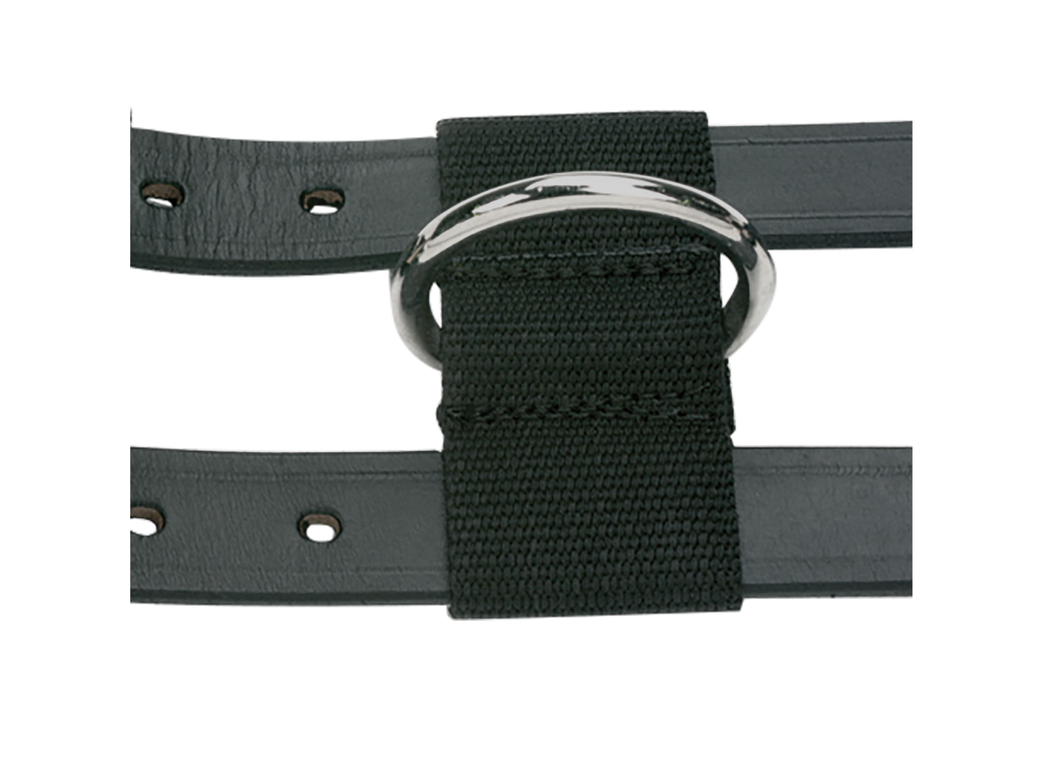 BUSSE Lunging Belt Professional - Leather