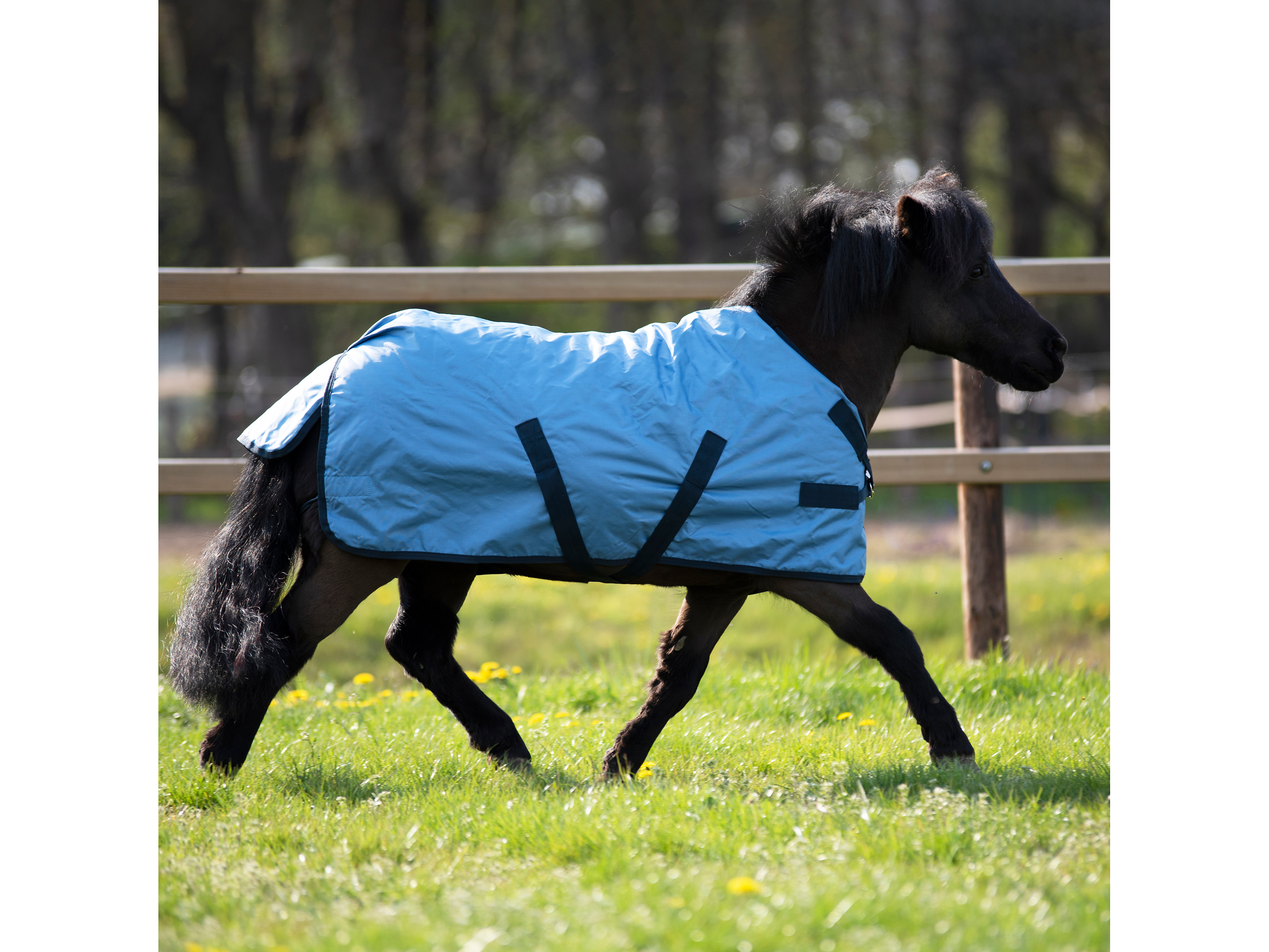 Die ultimative Outdoor- und Regendecke Windchilly Mini 00 ohne Isolierung, ist auch für die Nutzung in der wärmeren Übergangszeit für kleine Ponys geeignet
