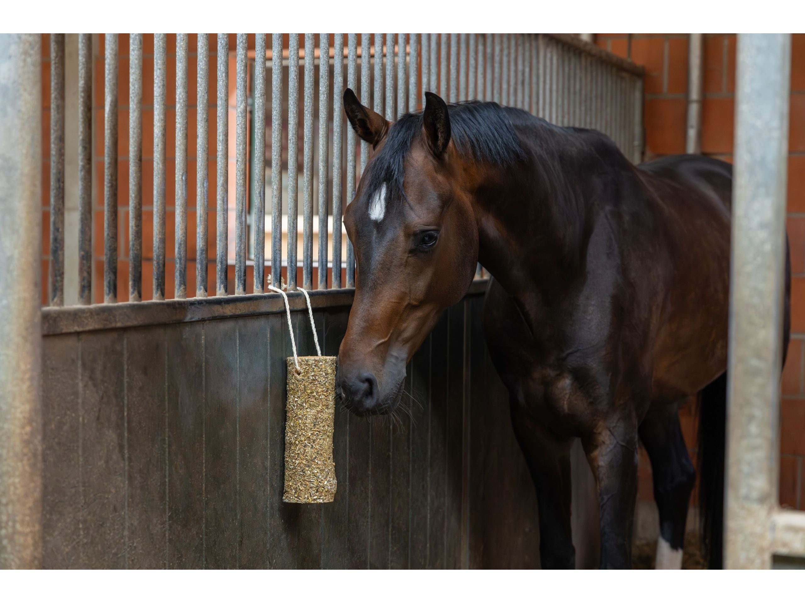 Delizia® Knabberholz für Pferde