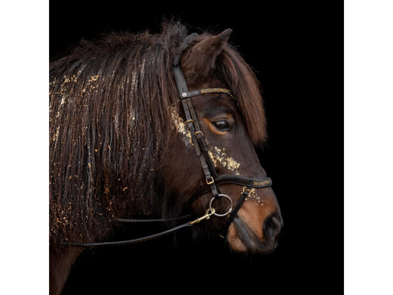 Epona Anatomische Trense Hellnar goldbraun