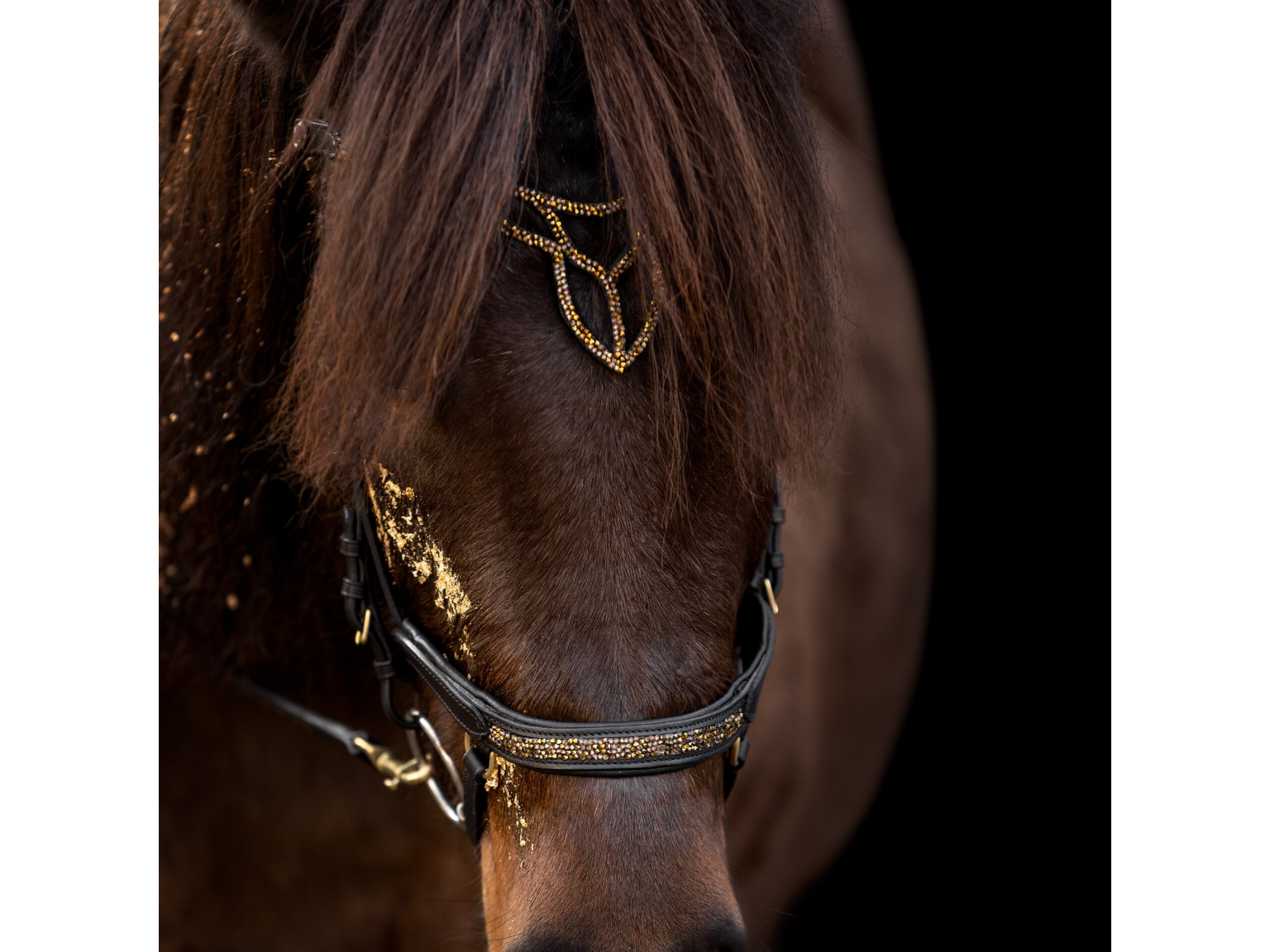 Epona Anatomische Trense Hellnar goldbraun