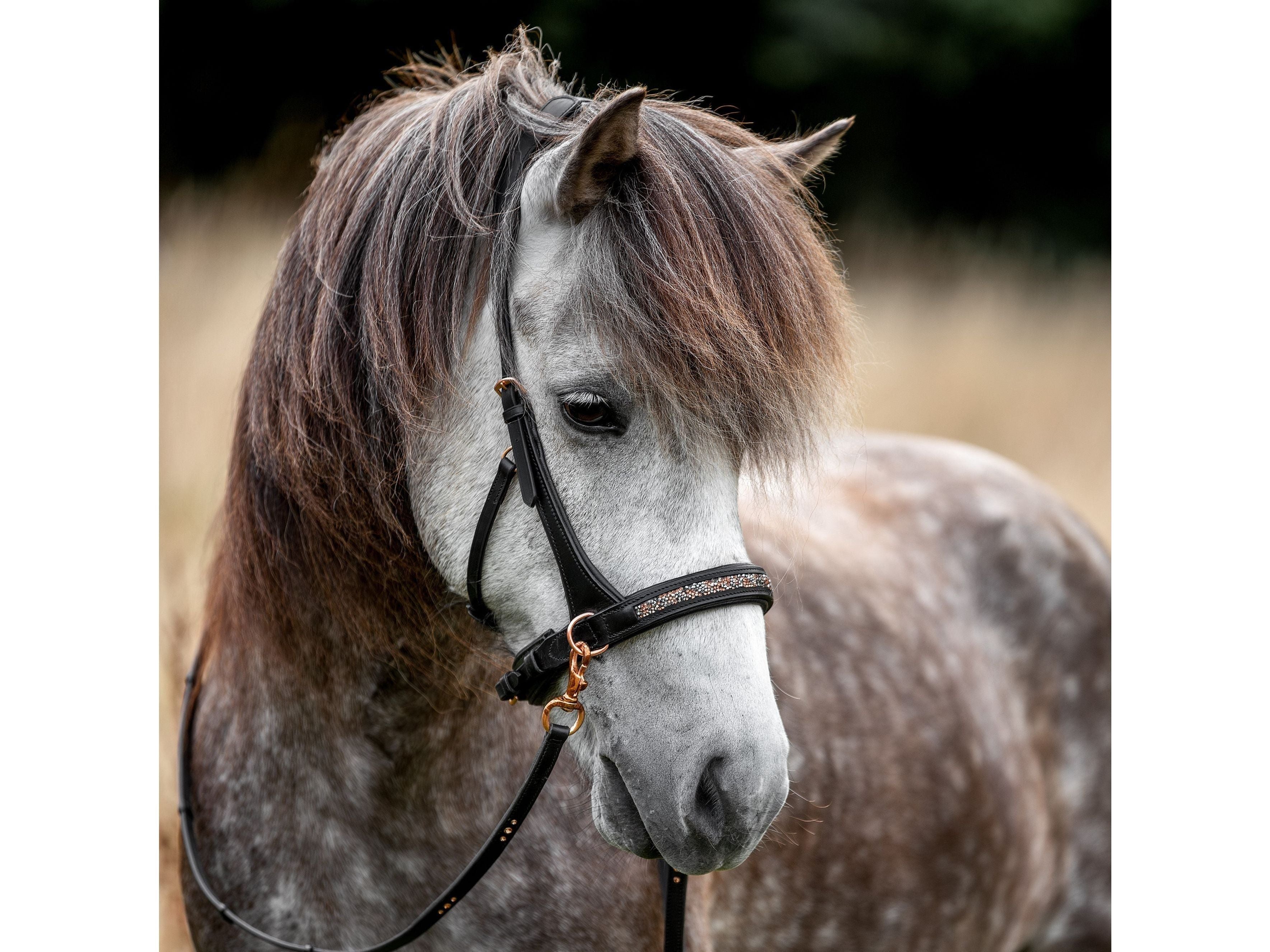 Epona Gebissloser Zaum roségold