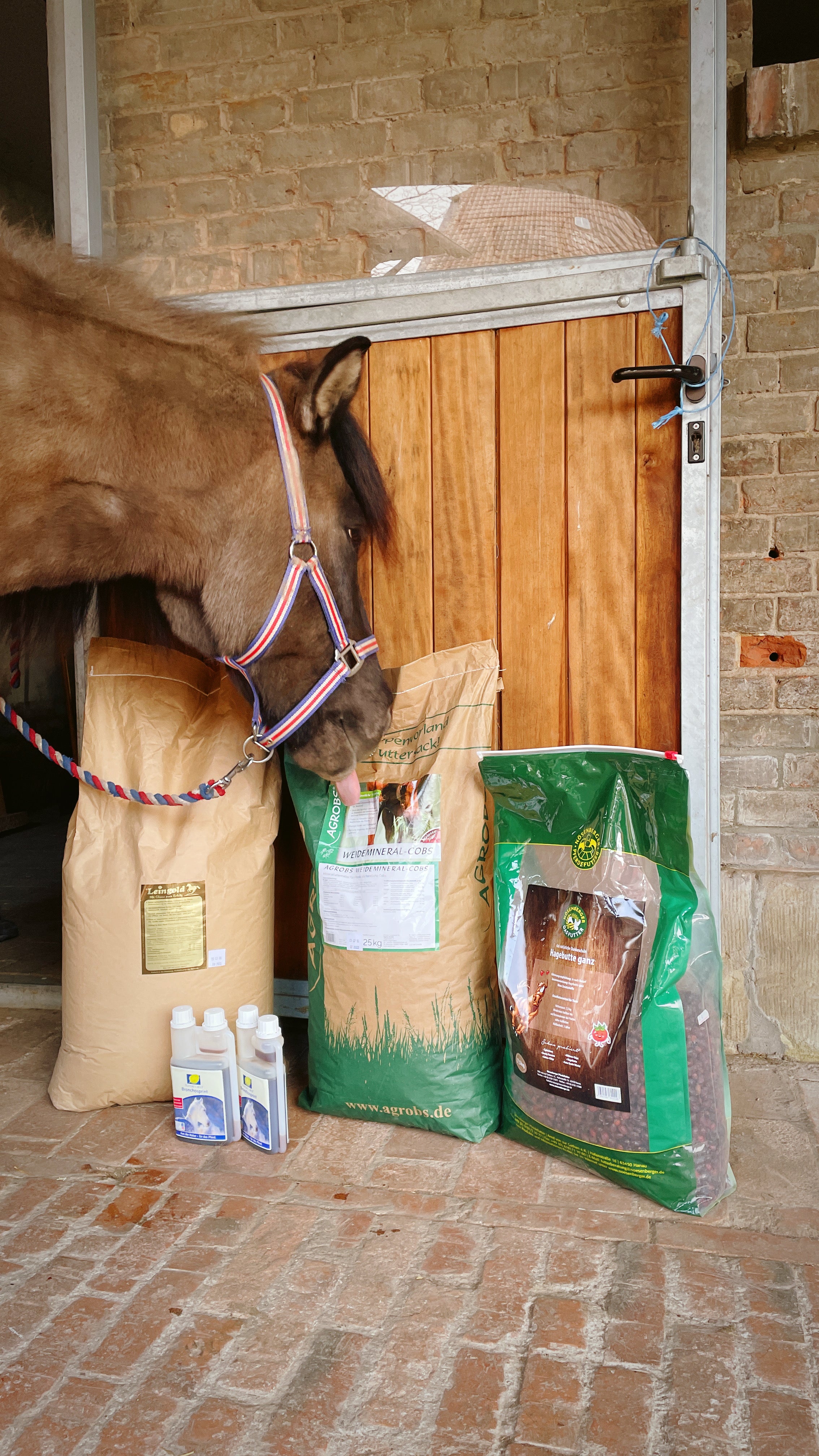 Du suchst das richtige Futtermittel, Saatgut oder Einstreu für Dein Pferd oder Deine Weide? Bei Icelandic Horse Fuel bist Du richtig. Wir führen Mineralfutter, Mash, Zusatzfutter, Leckerlies und Saatgut sowie Einstreu. Pferdefutter in höchster Qualität jetzt online bestellen.