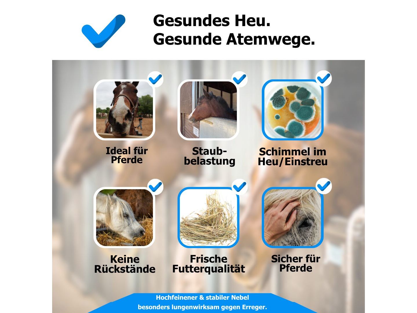 AnoKath® heuSan – Konzentrat zur Heuhygiene & Heu-Desinfektion im Stallalltag