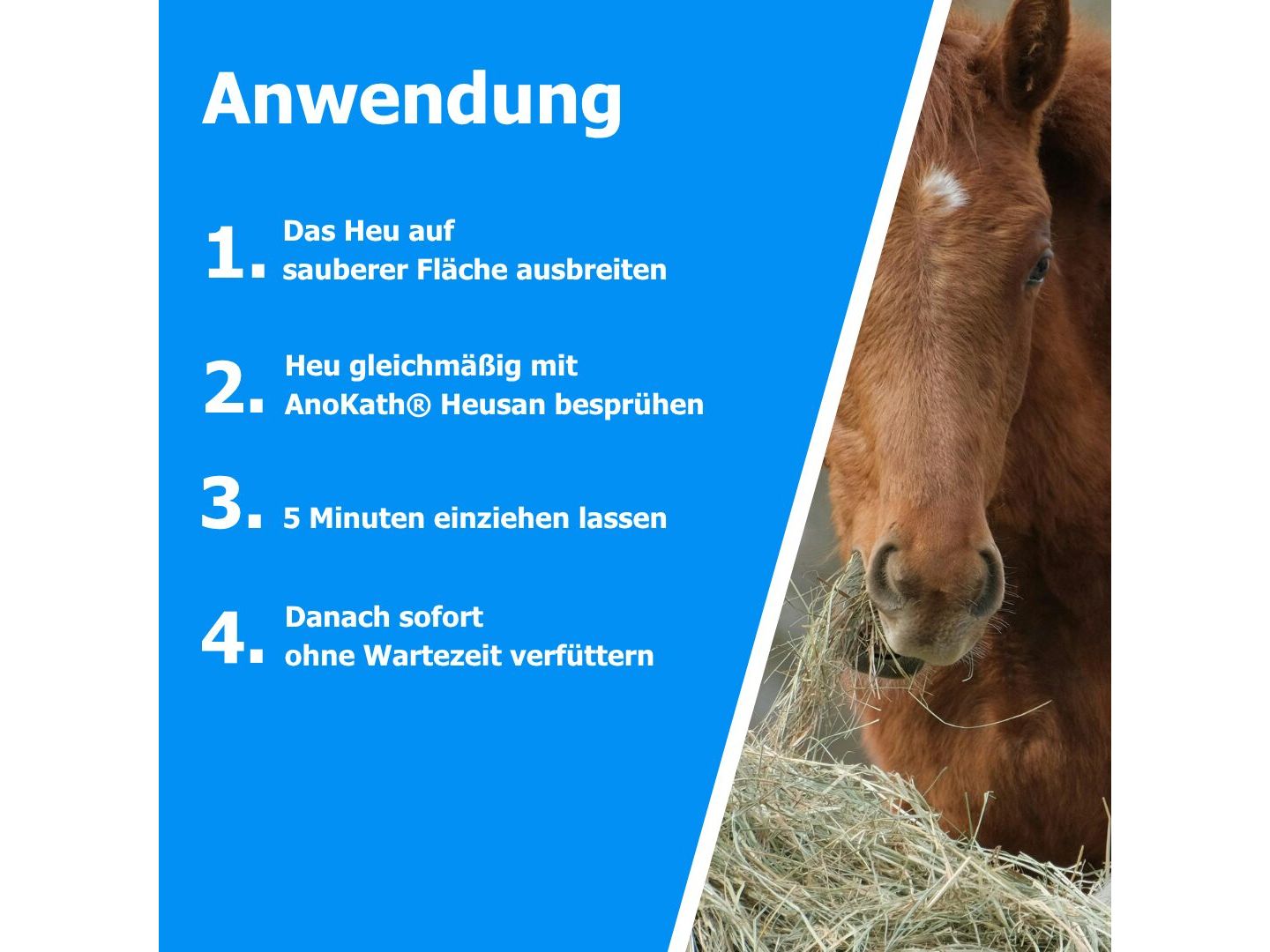 AnoKath® heuSan – Konzentrat zur Heuhygiene & Heu-Desinfektion im Stallalltag