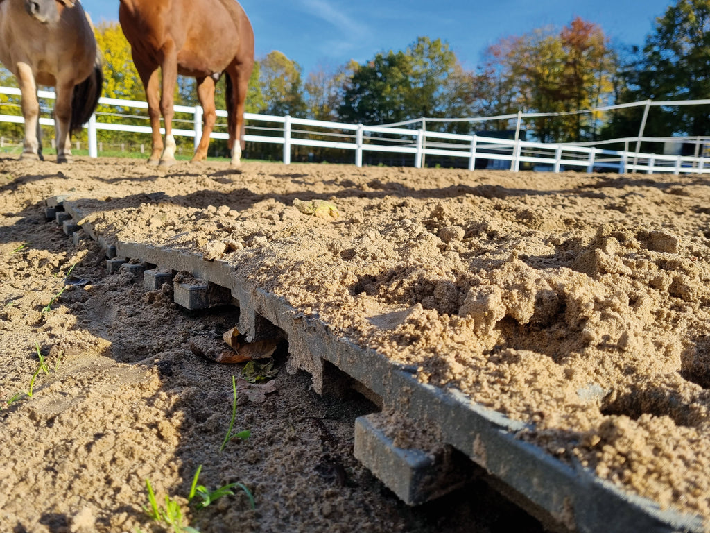 Paddock Pferd INB Paddockplatte | Icelandic Horse