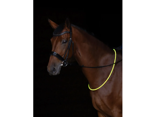 Icelandic Horse Halsring LED für Pferde