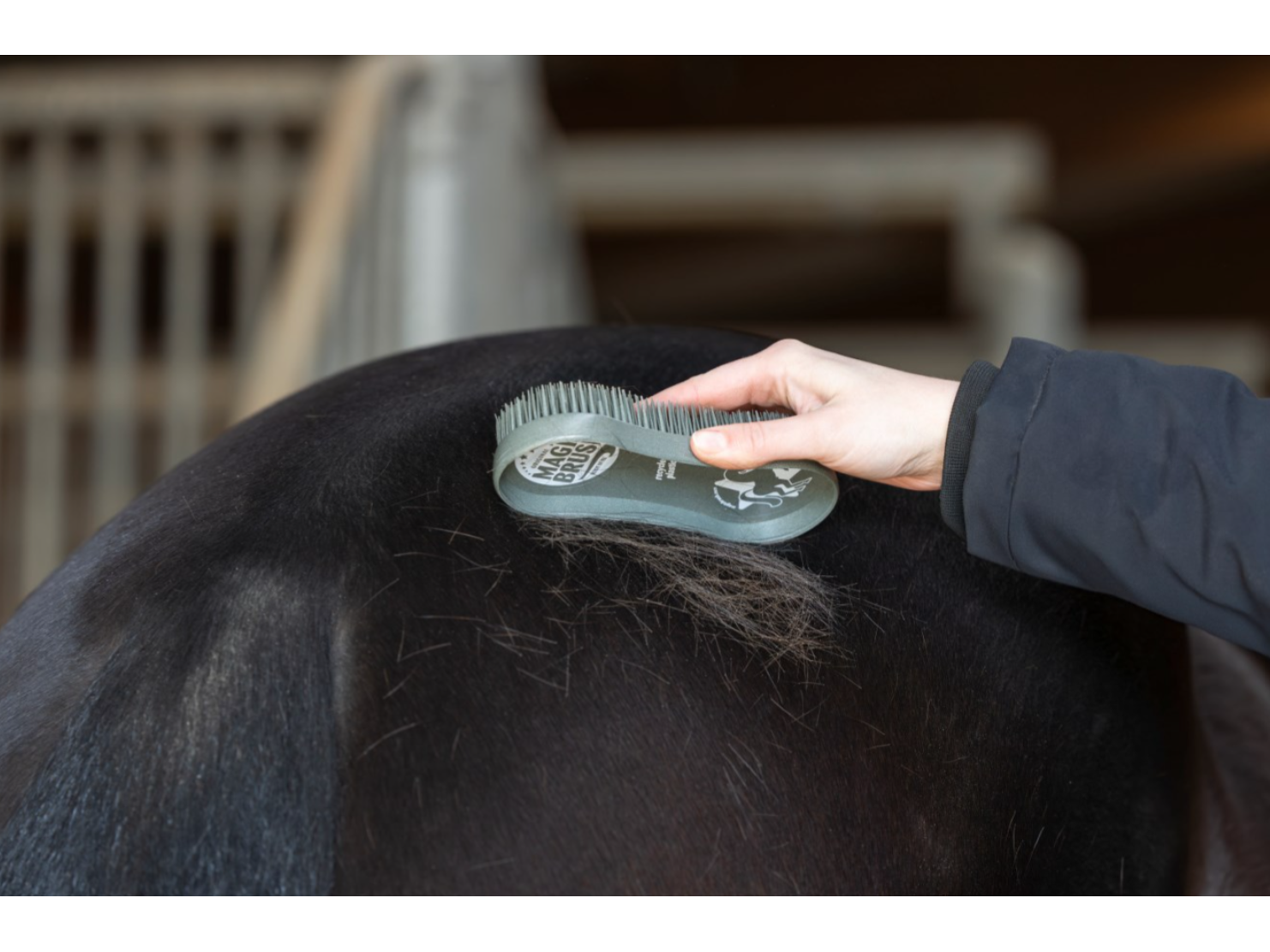MagicBrush Bürstenset CornFlowers Recycled
