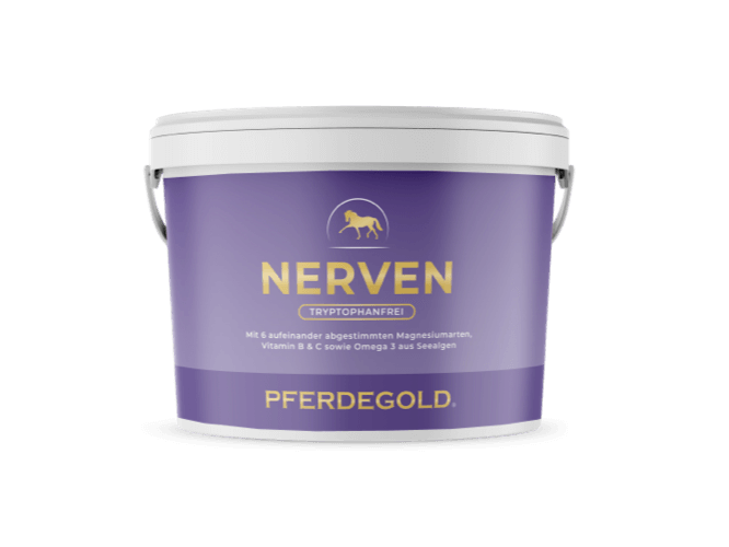 Nerven 2.0