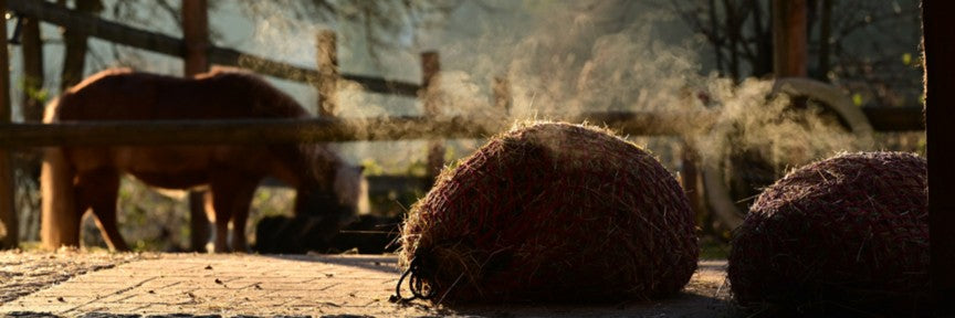 Pferdehaltung: Stall, Weide & Selbstversorger: praxiserprobter Stall- und Weidebedarf