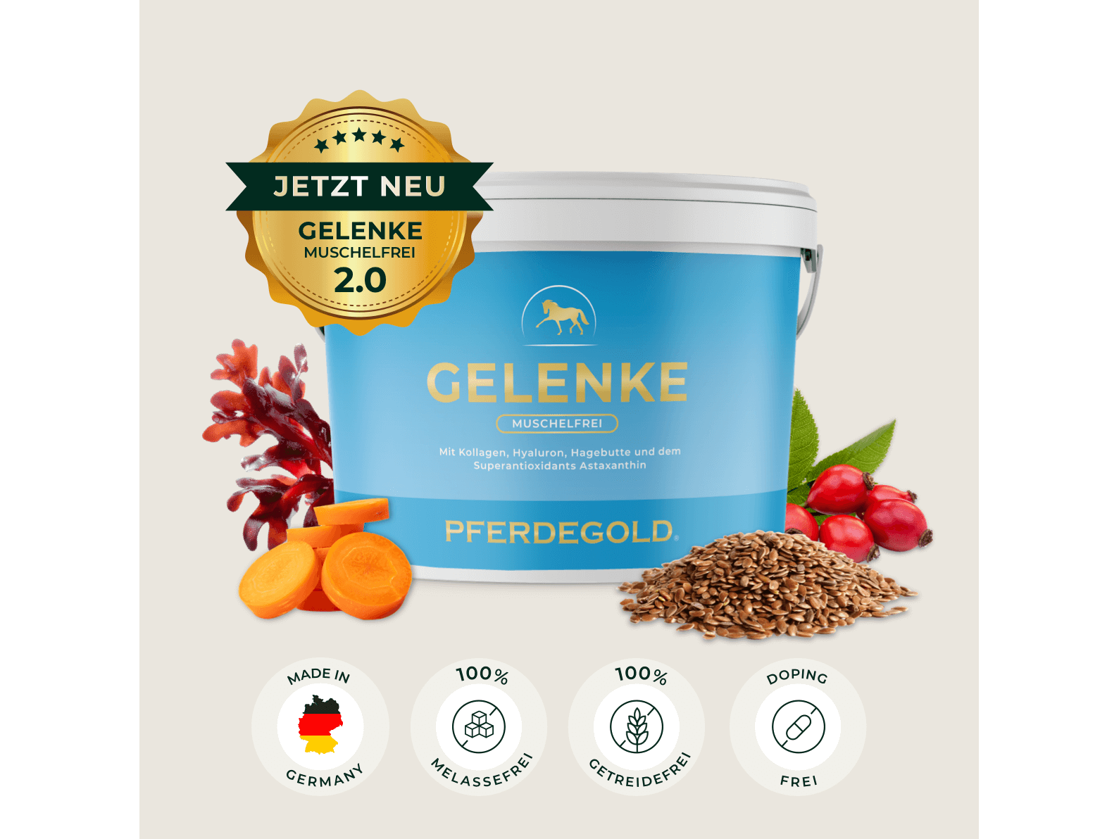 Gelenke Muschelfrei 2.0