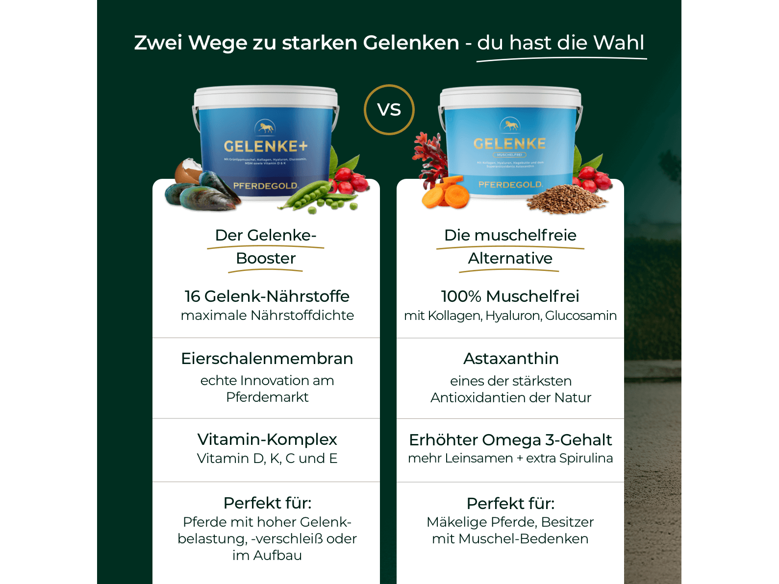 Gelenke+