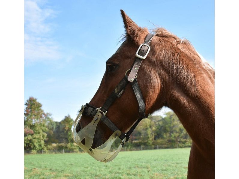 ThinLine Flexible seizure brake