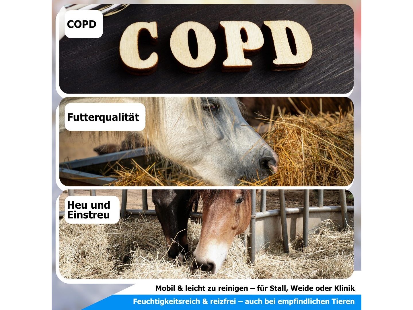 AnoKath® heuSan – Konzentrat zur Heuhygiene & Heu-Desinfektion im Stallalltag