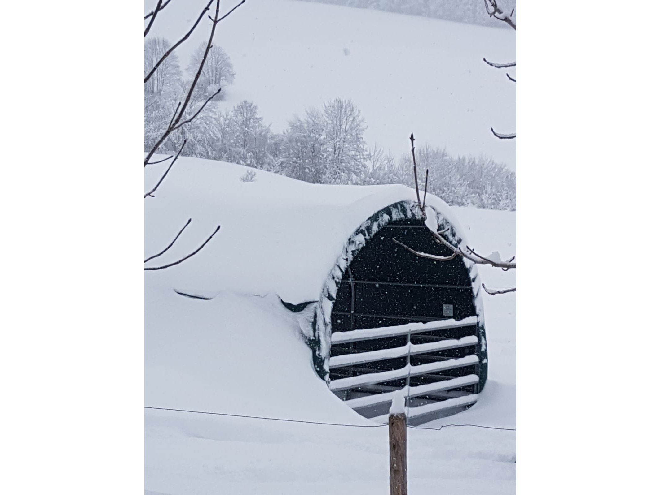 COVER ALL Mobile Cover Weideunterstand 4 x 4 m, dachfolie lang, farbe grün