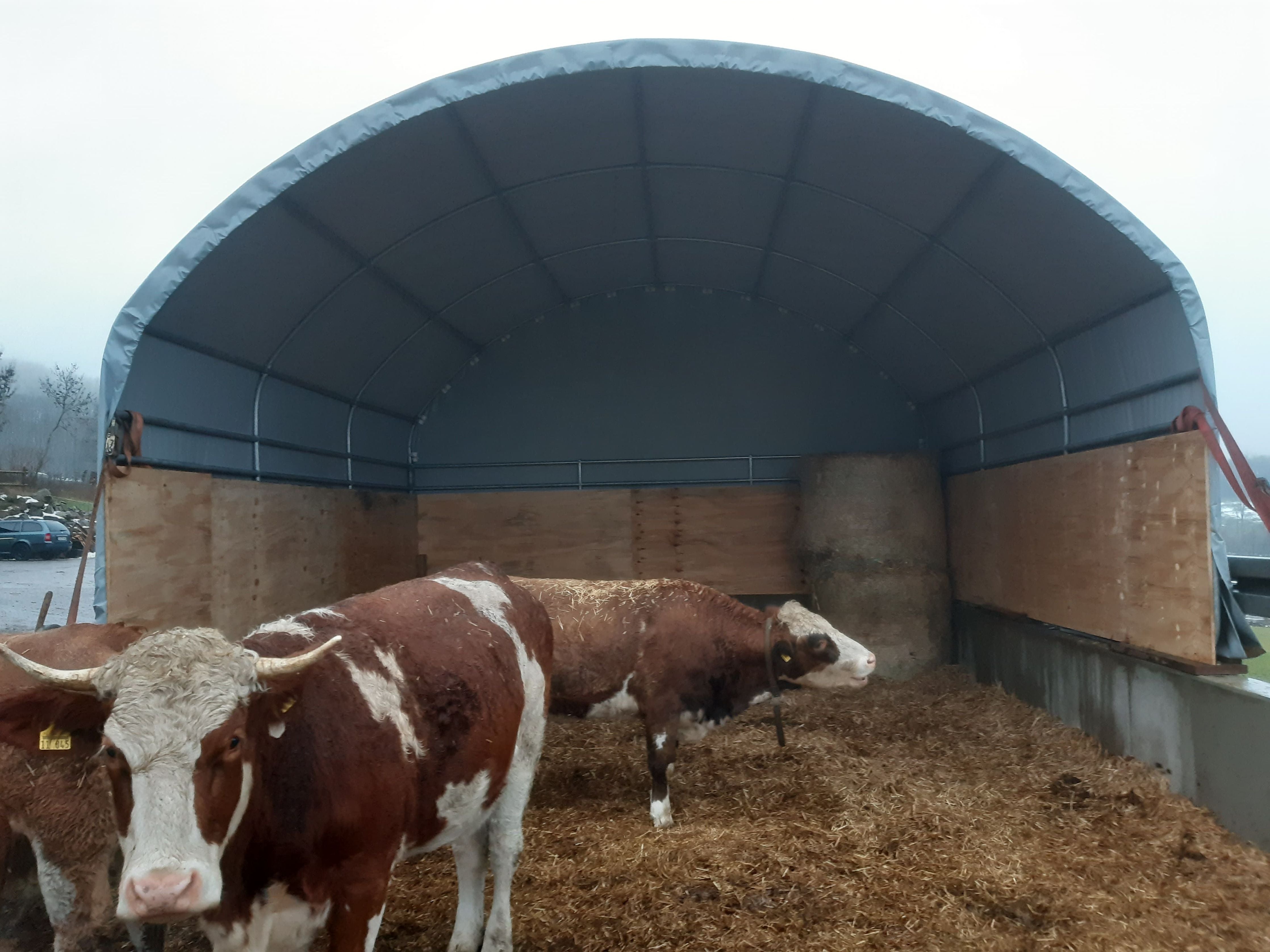 COVER ALL Giebelwand 6 m, 6 x 6 m, dachfolie mit planenüberhang, giebel lang, giebel mit überhang, farbe grau