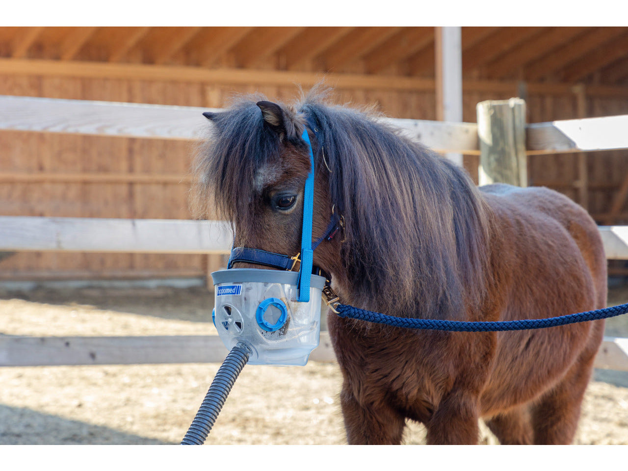 Masque d'inhalation Hippomed Air One pour chevaux avec accessoires