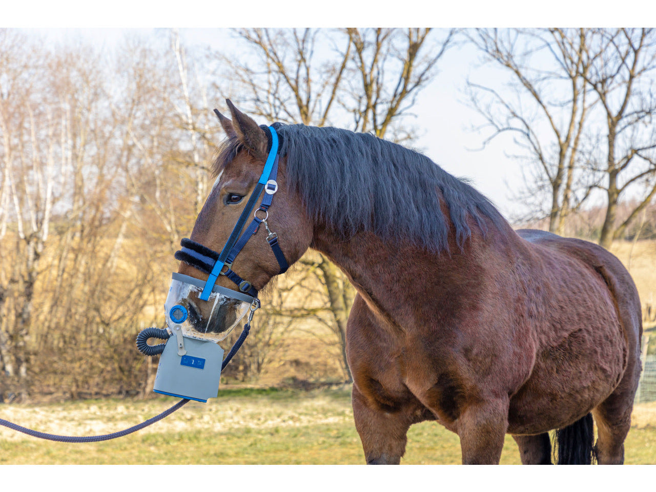 Masque d'inhalation Hippomed Air One pour chevaux avec accessoires