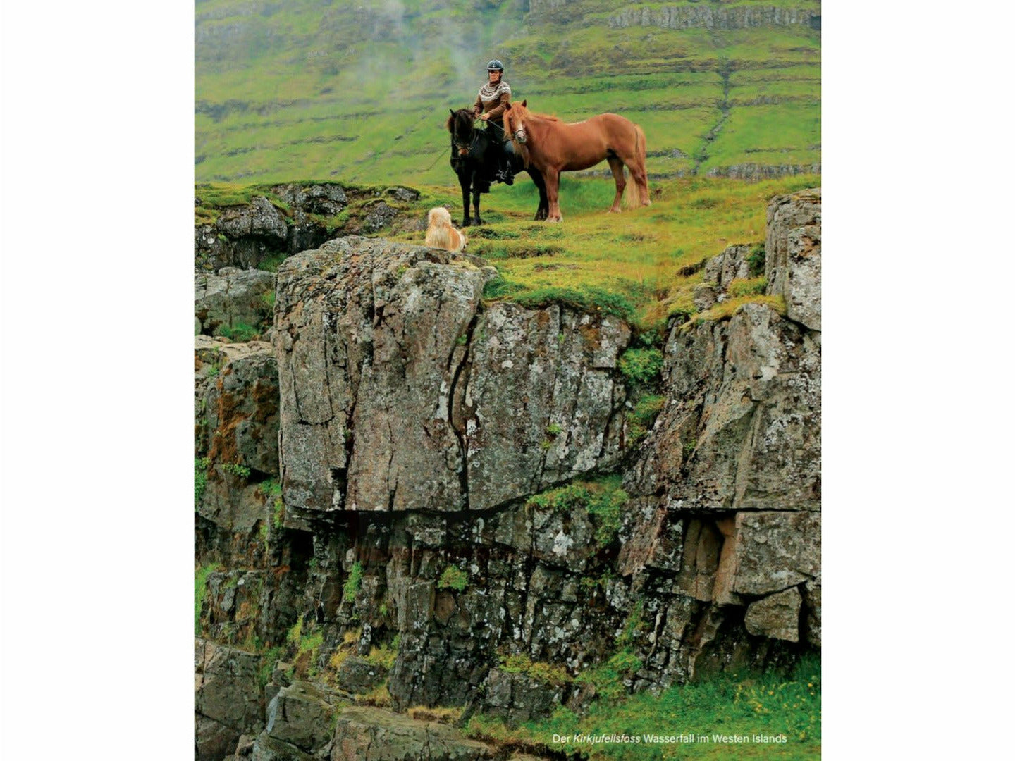 Chevaux islandais magiques - Une déclaration d'amour pour les chevaux, le pays et les gens