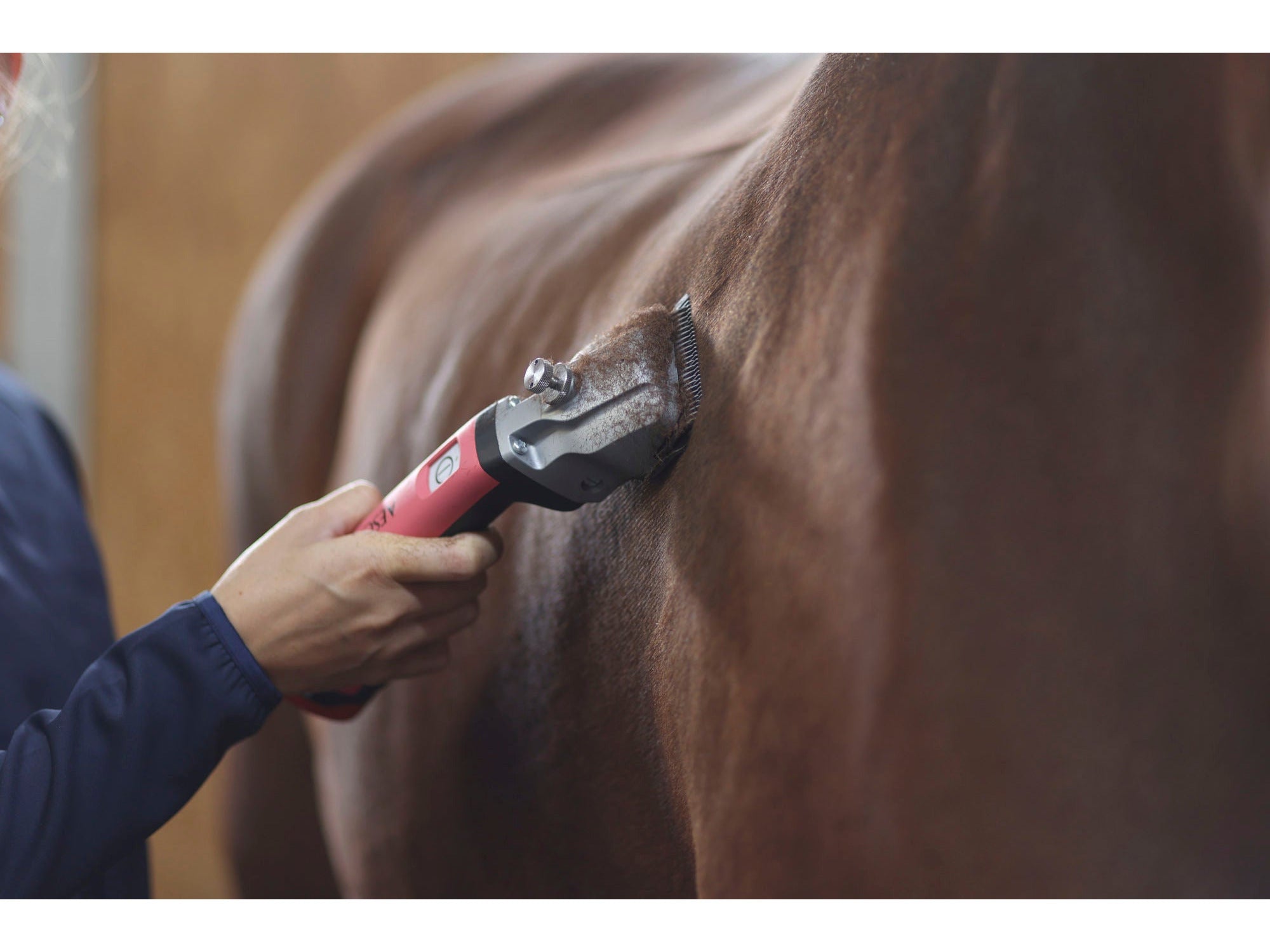 Aesculap cordless clipper Bonum for horses