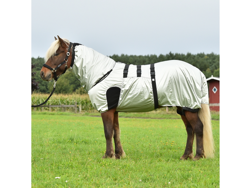Die Ekzemdecke Strong von Busse ist eine spezielle atmungsaktive sowie elastische Schutzdecke für Islandpferde und Pferde mit Sommerekzem.