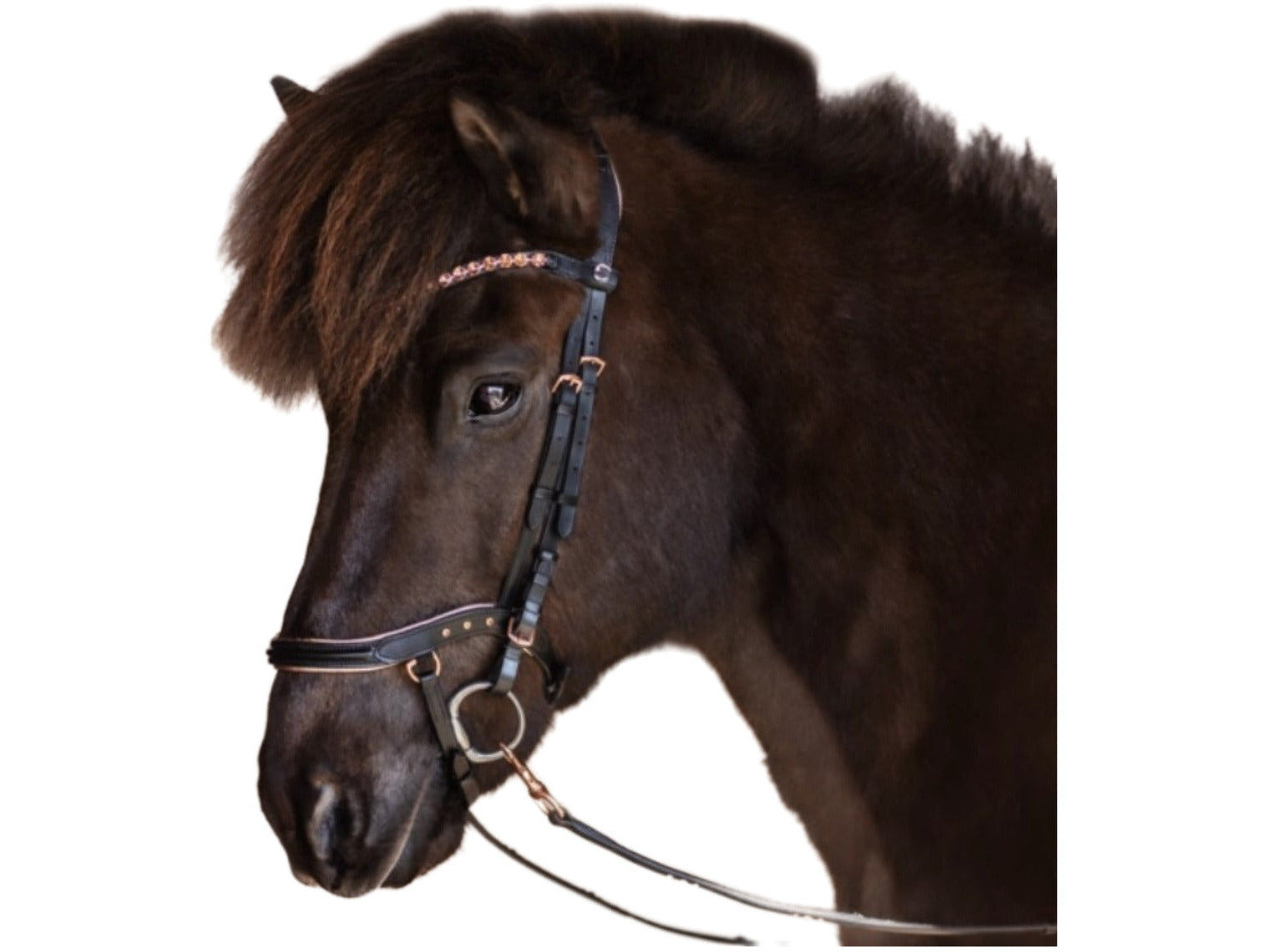 Die qualitativ hochwertige anatomische Trense in roségold von Epona bietet Deinem Islandpferd einen optimalen Tragekomfort und lässt Dein Pferd dabei elegant erstrahlen