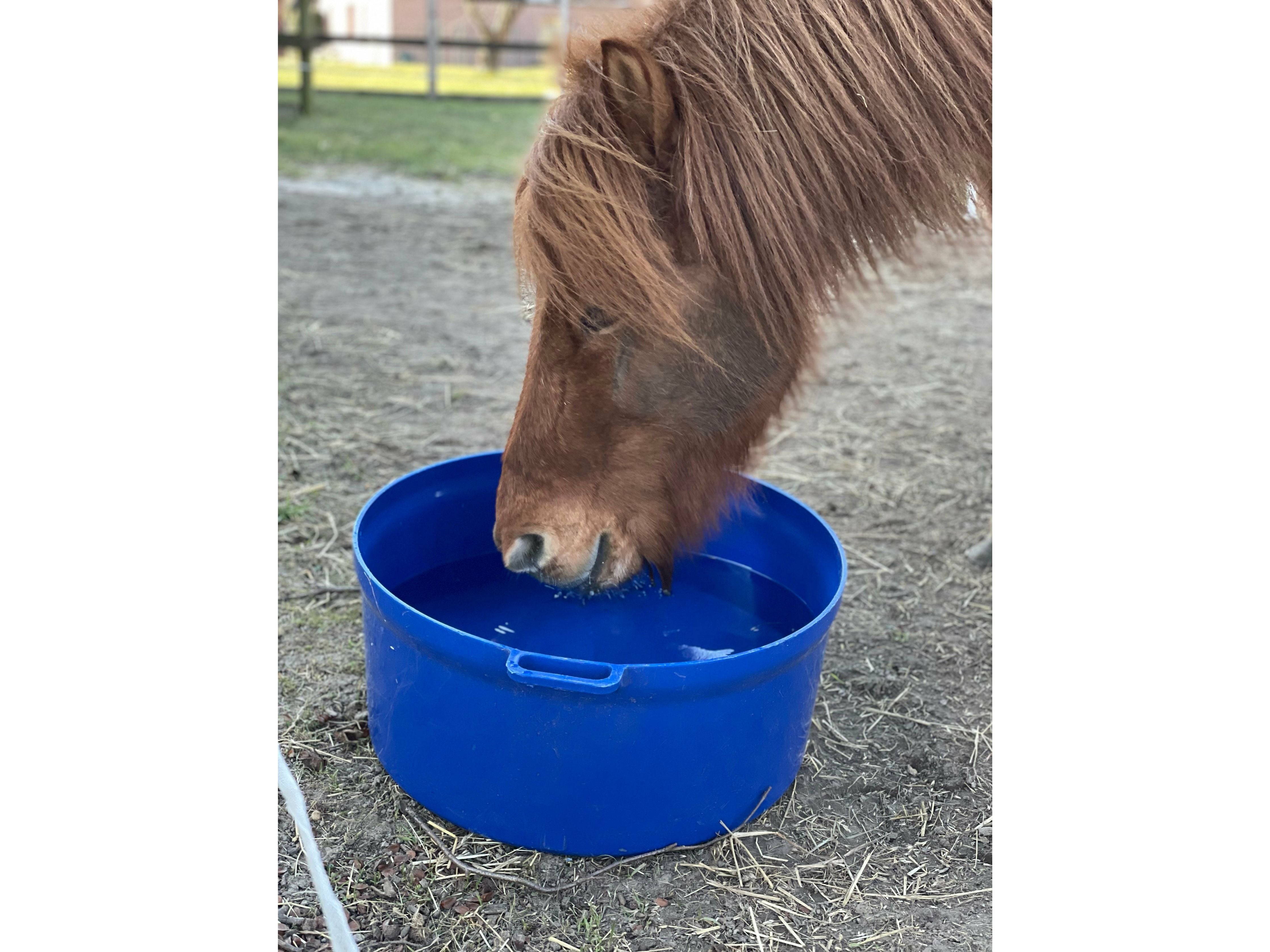 Icelandic Horse flexibler Wassertrog 50 Liter