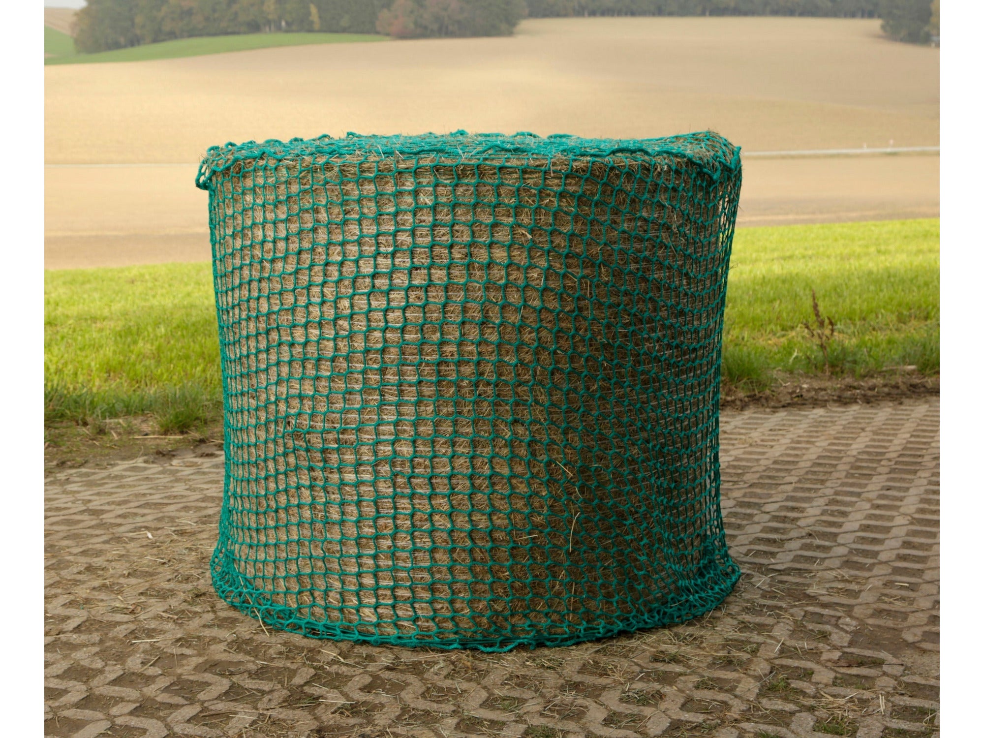 Icelandic Horse hay net for round bales