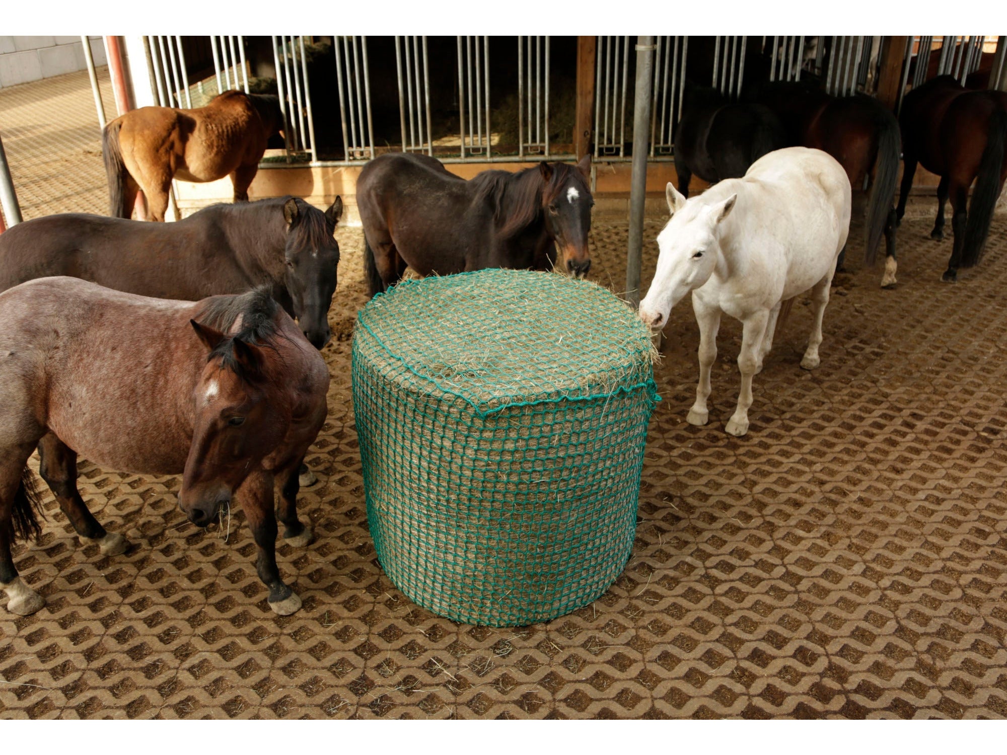 Aoneky Heunetz Für Pferde – 1,8 X 1,8 M, 3,8 Cm Maschenweite. Für Rund- & Quadratballen, 1000 Kg Tragkraft, Inkl. 7 M Kordel.