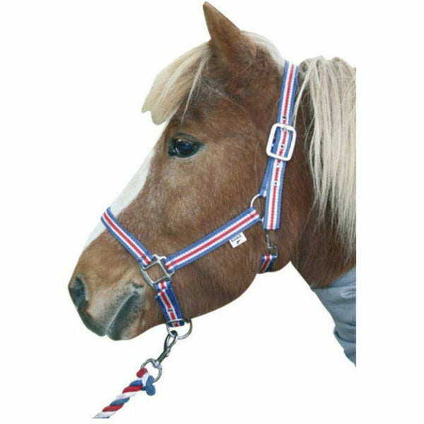 Wessex Führstrick Navy Shires - Praktischer Führstrick Mit