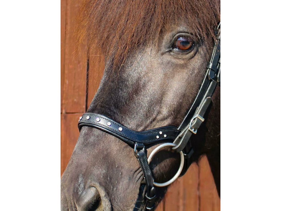 Hilbar bridle line anatomical noseband Kongur (b)